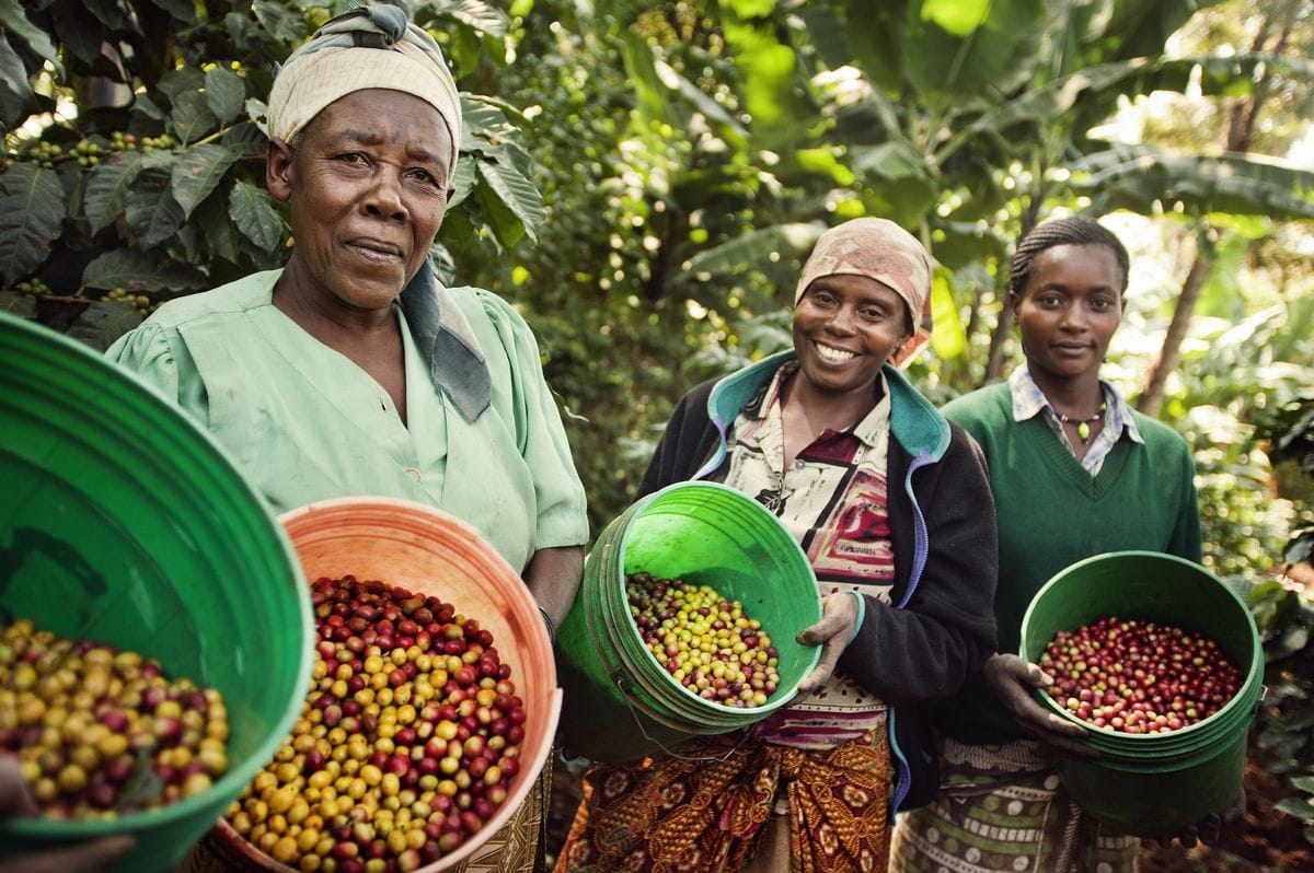 eerlijk eten en koffie drinken