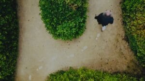 de wereld veranderen