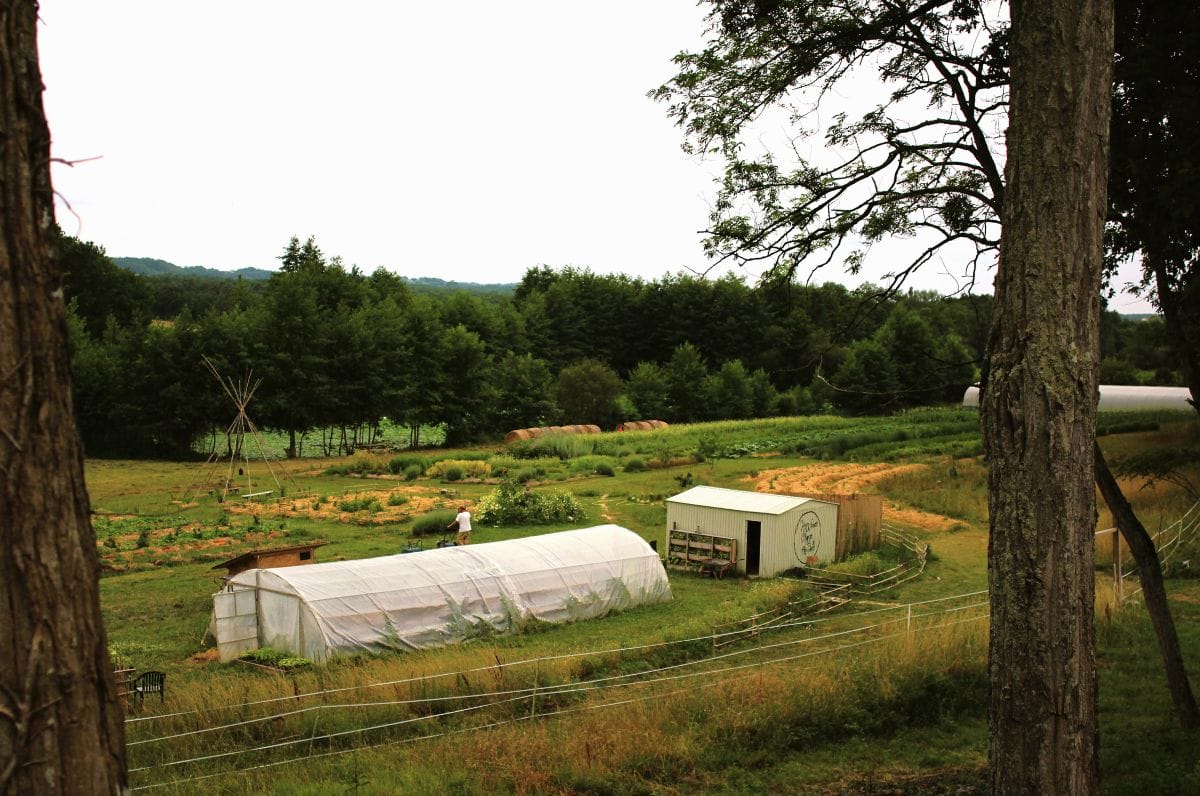 overzicht van de boeddhistische boerderij