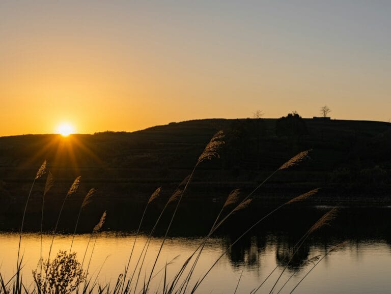 waarom ga je op retraite