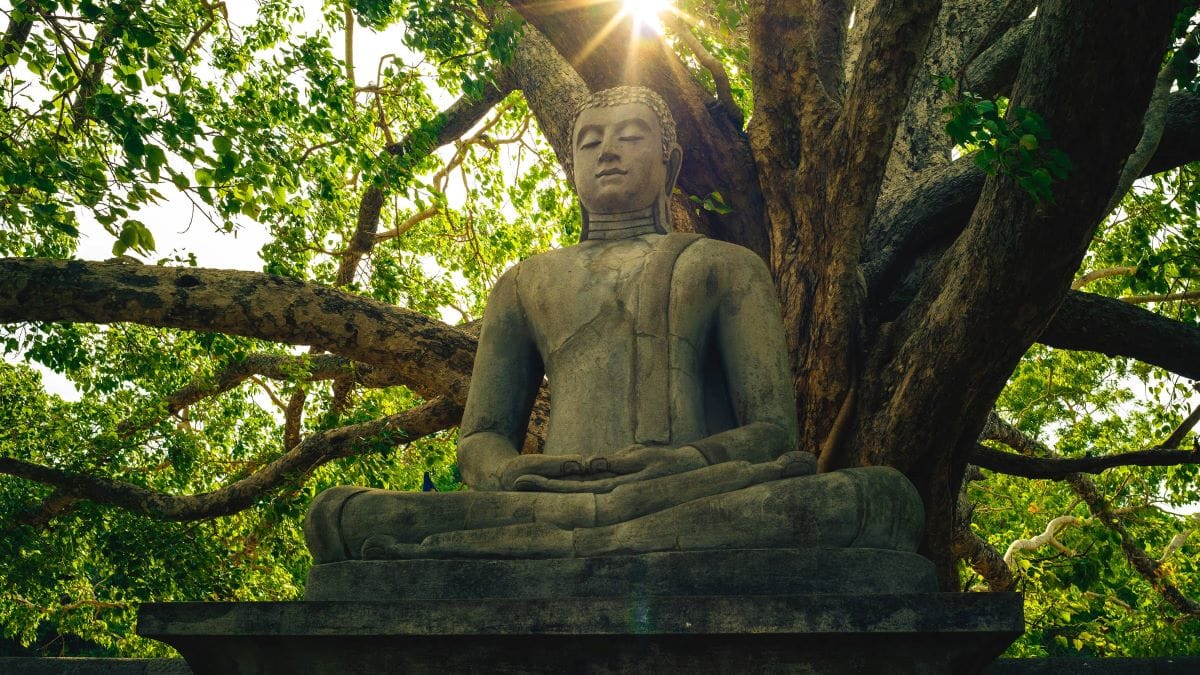 Aan de slag met je dagelijkse stress