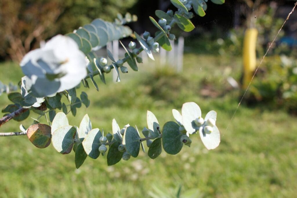 wat kan ik den met dagelijkse stress