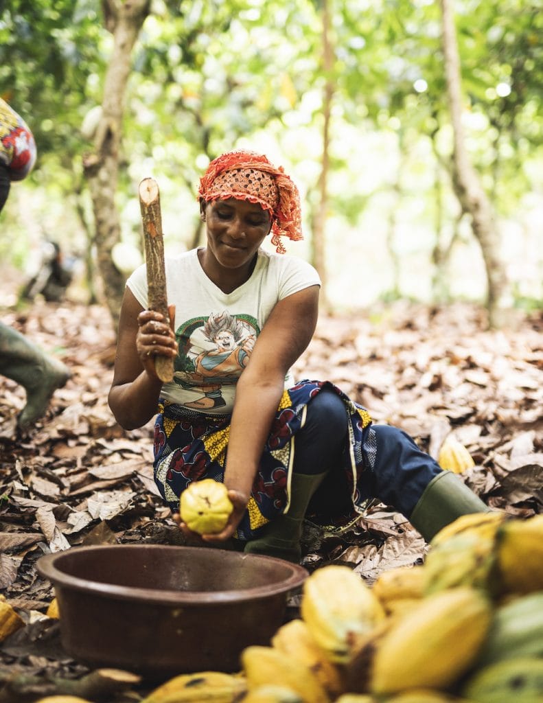 fairtrade cacao boerin