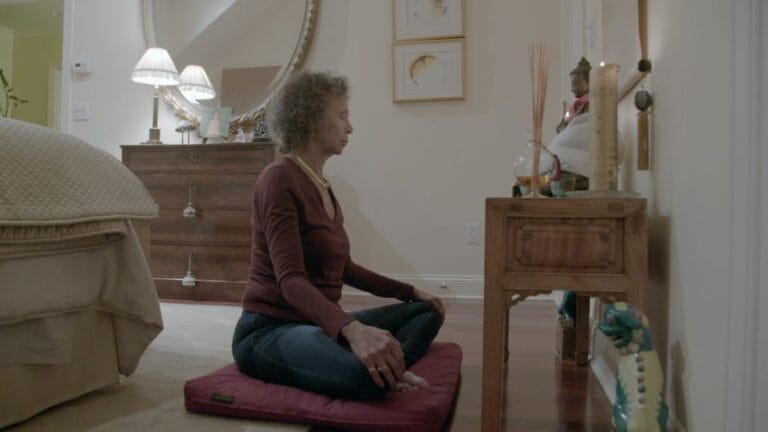 film over boeddha's in het westen