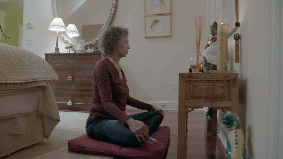 film over boeddha's in het westen