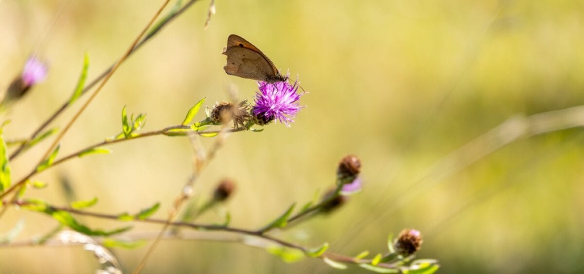 de natuur ervaren tijdens een retraite vakantie