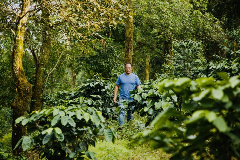 boeddhistische koffie ondernemer